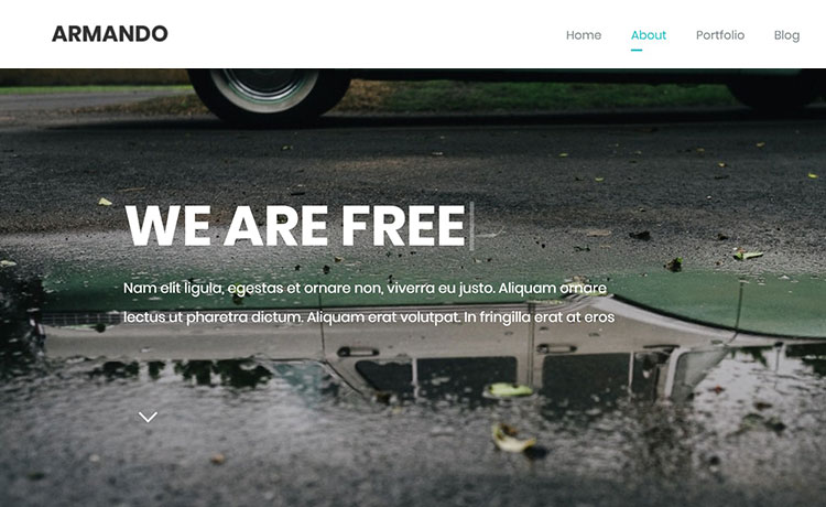 Armando - Responsive HTML5 Template for Small Agency or Business Website.