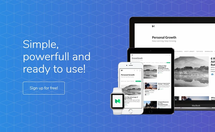 Elisa - Premium Quality Free Landing Page Template