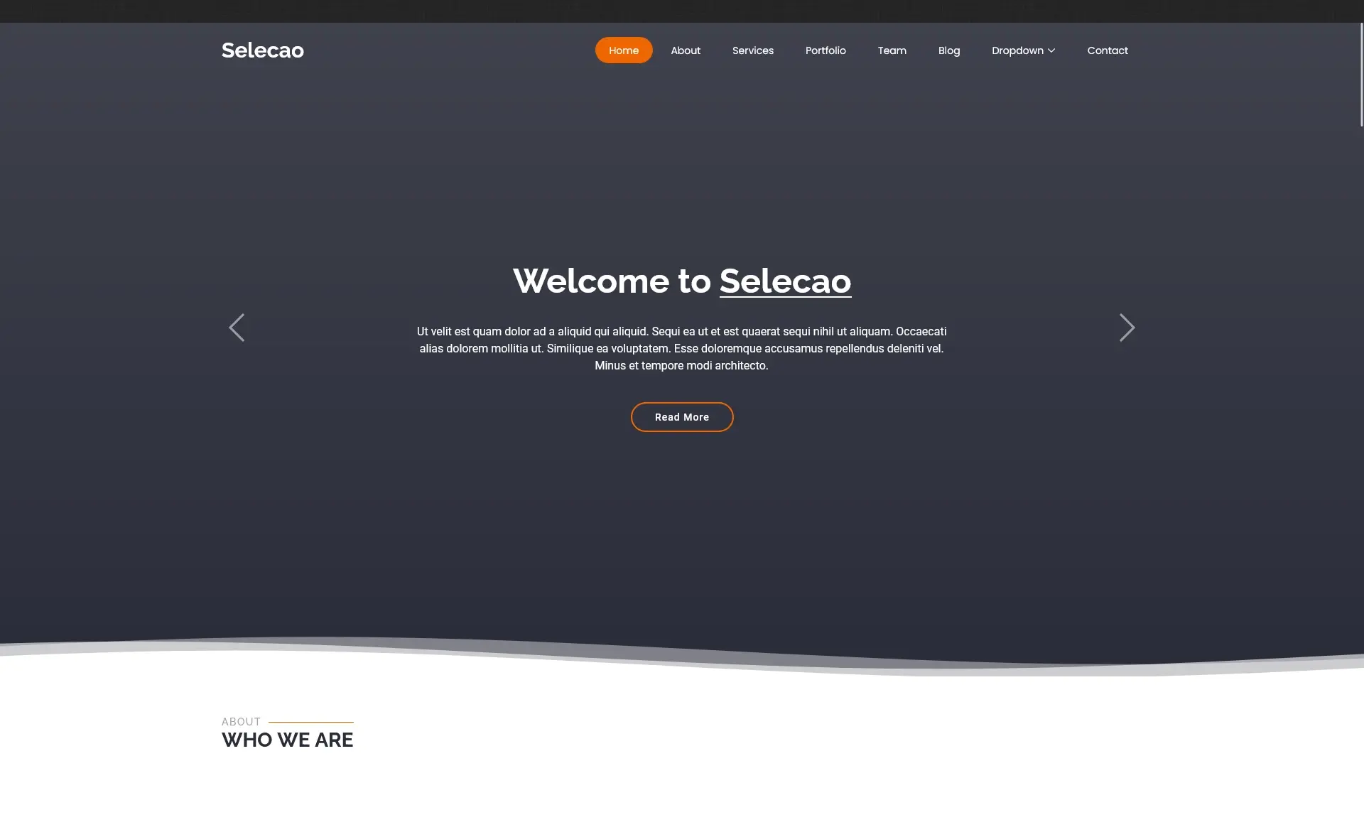 Selecao - Free Bootstrap 5 Business & Corporate Template
