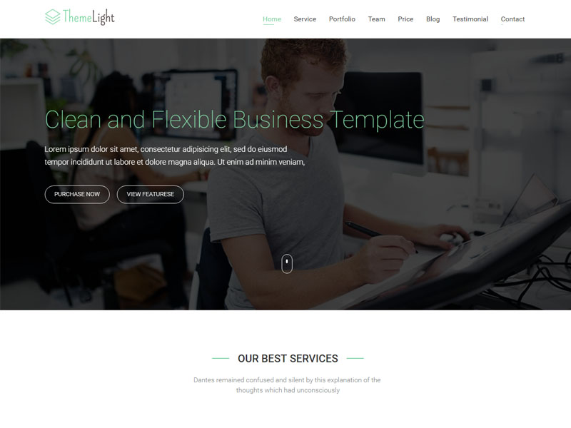 ThemeLight - A free Twitter Bootstrap Business Template