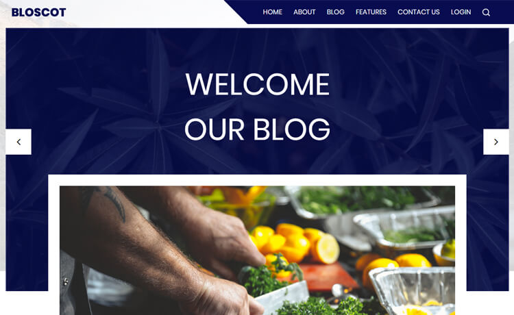 Bloscot - Free Responsive Bootstrap 4 HTML5 Blog Template