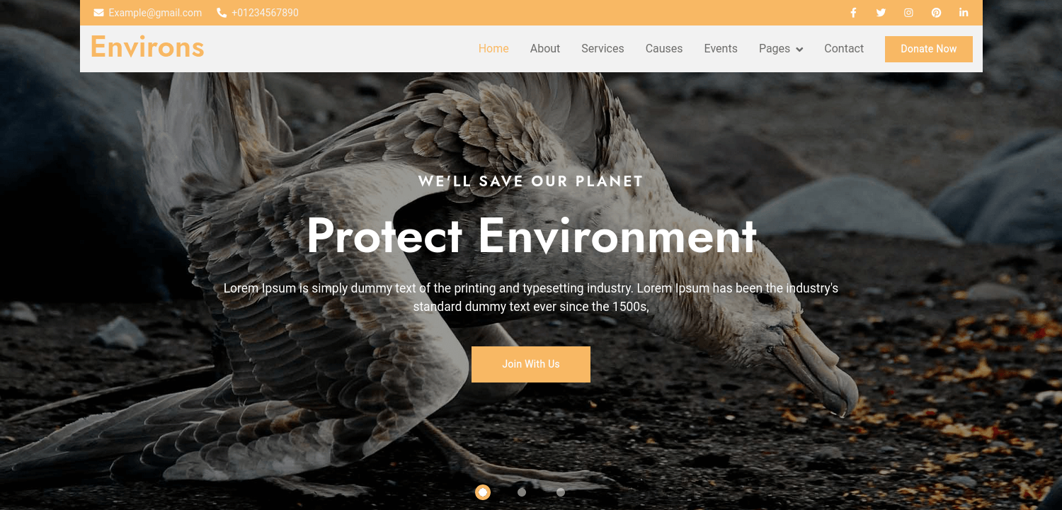Environs - Free Bootstrap 5 Charity Website Template