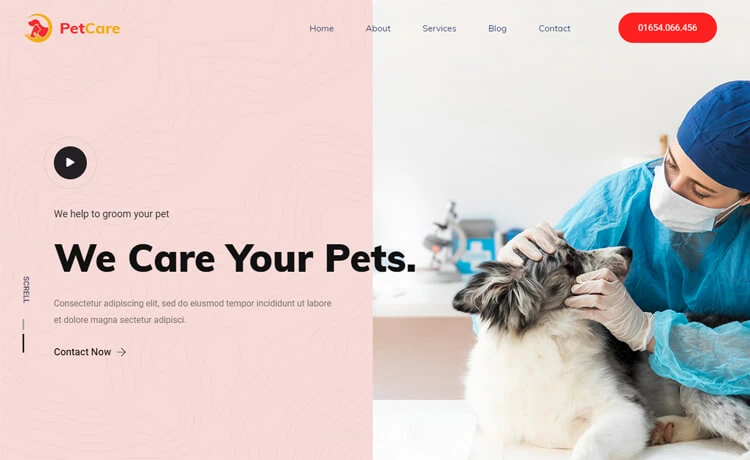 PetCare - Free Bootstrap 4 HTML5 Pet Clinic Website Template