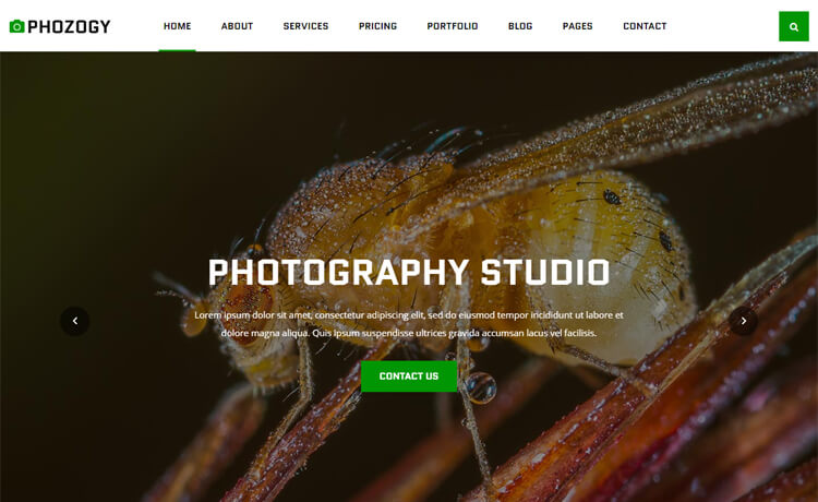 Phozogy - Free Bootstrap 4 HTML5 Responsive Photography Website Template