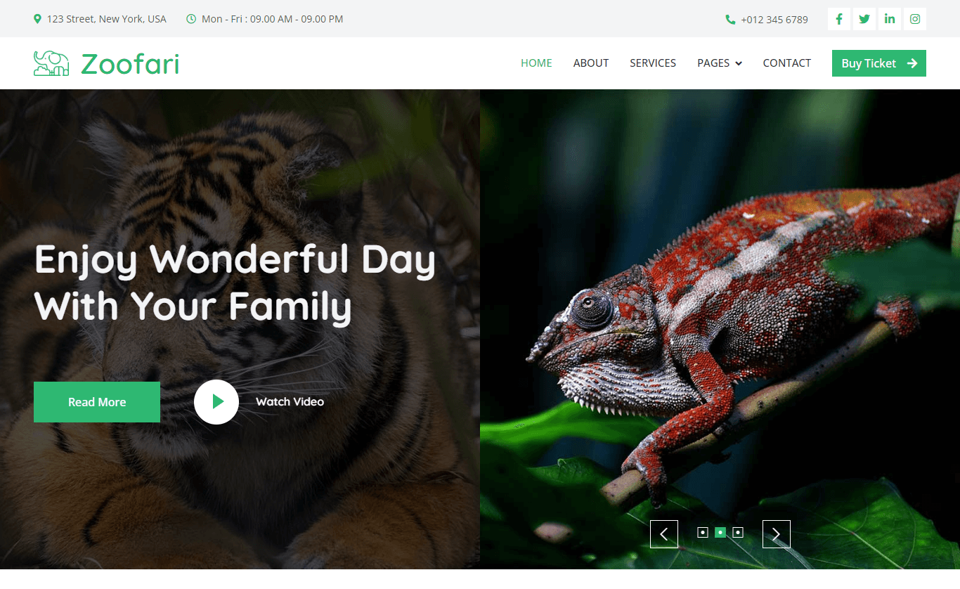Zoofari – Free Bootstrap Wildlife Website Template